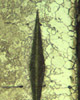 Alloy Depletion