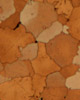thumbs_metallurgical001